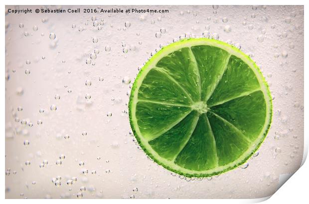 Fresh lime Print by Sebastien Coell