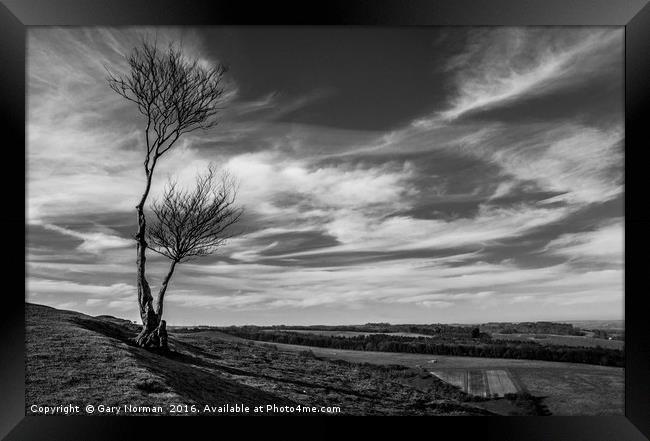 Black and White on Deacon Hill Framed Print by Gary Norman