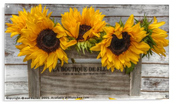 sunflowers Acrylic by sue davies