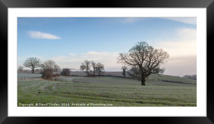 A Winters Morning Framed Mounted Print by David Tinsley