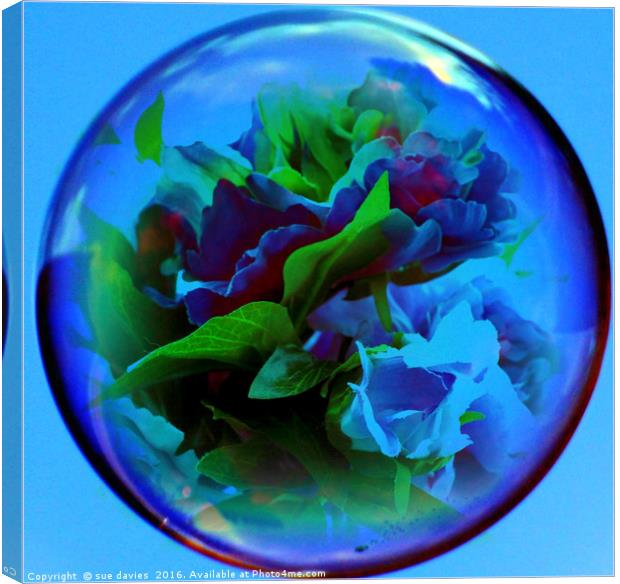 flowers in a bubble Canvas Print by sue davies