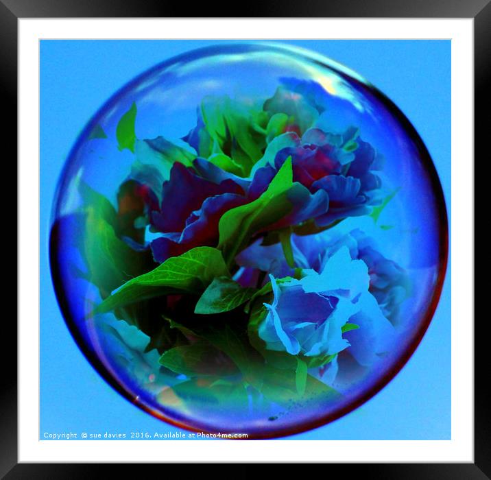 flowers in a bubble Framed Mounted Print by sue davies