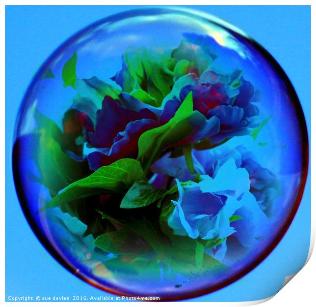 flowers in a bubble Print by sue davies