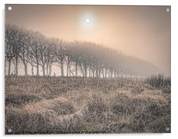 Exmoor Frost and Mist Acrylic by Philip Hodges aFIAP ,