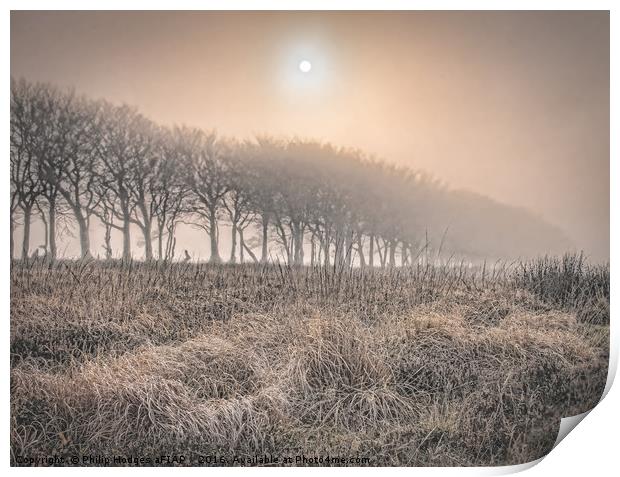 Exmoor Frost and Mist Print by Philip Hodges aFIAP ,