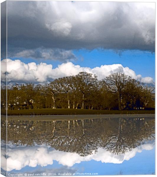 tree mirror Canvas Print by paul ratcliffe