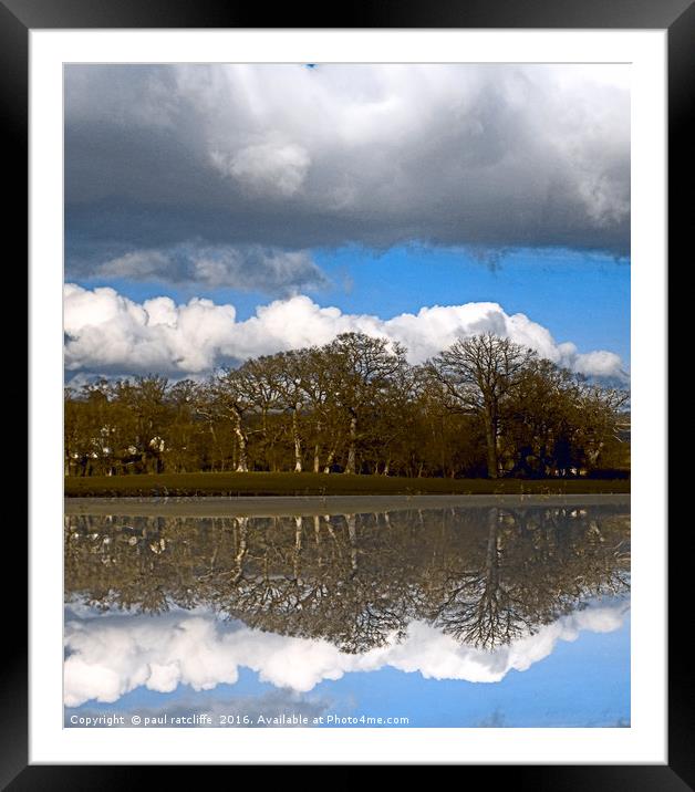 tree mirror Framed Mounted Print by paul ratcliffe