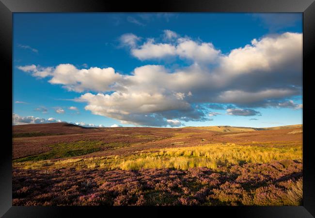 Summer in the High Peak Framed Print by Andrew Kearton