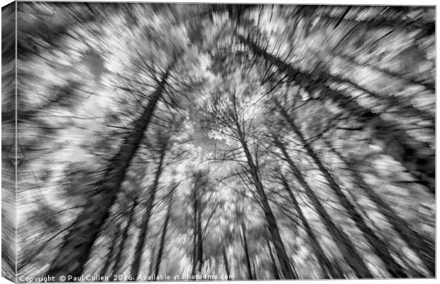 Forest zoomburst Canvas Print by Paul Cullen