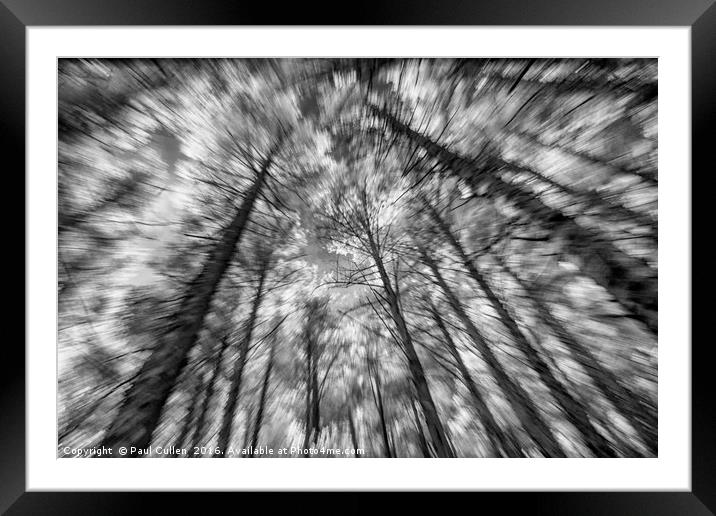Forest zoomburst Framed Mounted Print by Paul Cullen