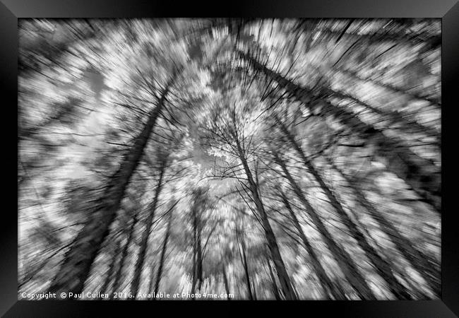 Forest zoomburst Framed Print by Paul Cullen