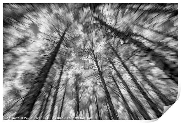 Forest zoomburst Print by Paul Cullen