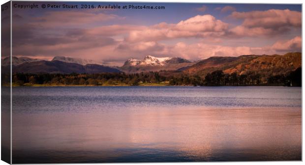 Windermere and the Pikes Canvas Print by Peter Stuart
