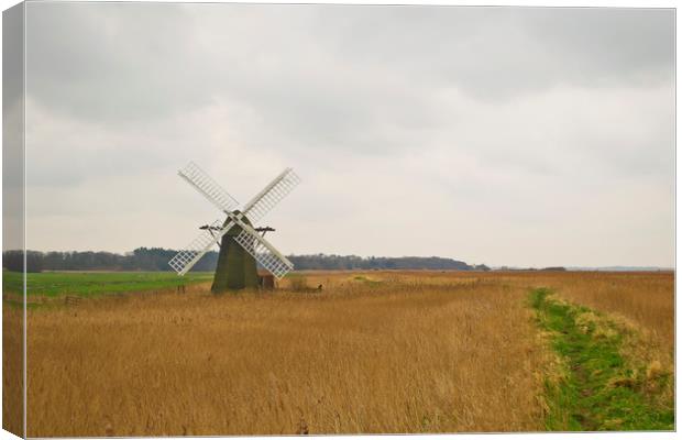 Suffolk Windmill Canvas Print by Andy Heap