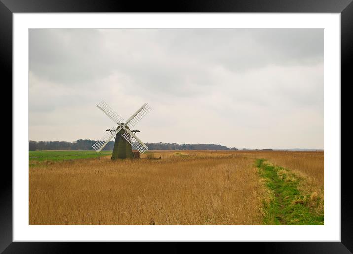 Suffolk Windmill Framed Mounted Print by Andy Heap