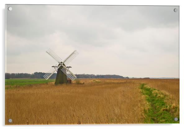 Suffolk Windmill Acrylic by Andy Heap