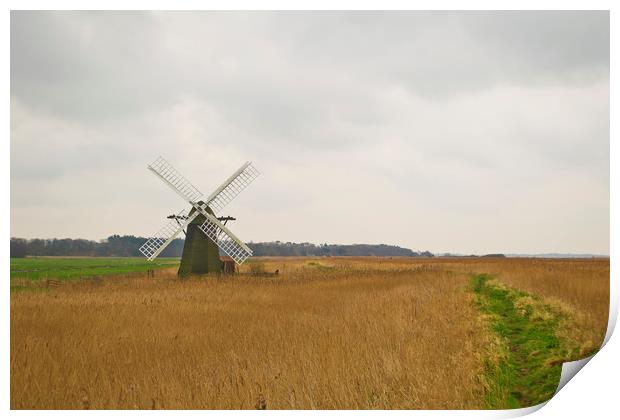Suffolk Windmill Print by Andy Heap