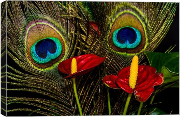 Birds Of A Feather 2 Canvas Print by Steve Purnell