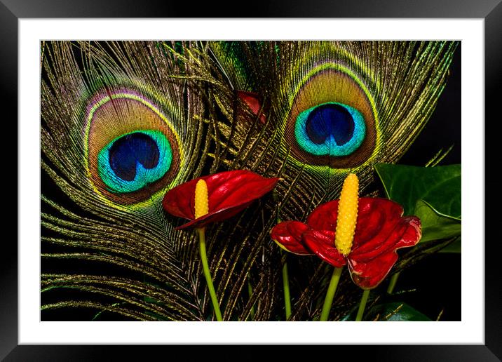 Birds Of A Feather 2 Framed Mounted Print by Steve Purnell