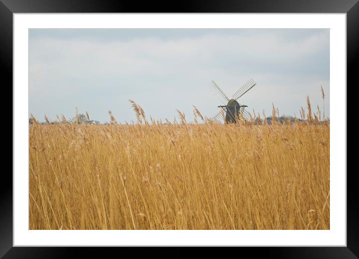 Windmill near Somerleyton, Suffolk Framed Mounted Print by Andy Heap