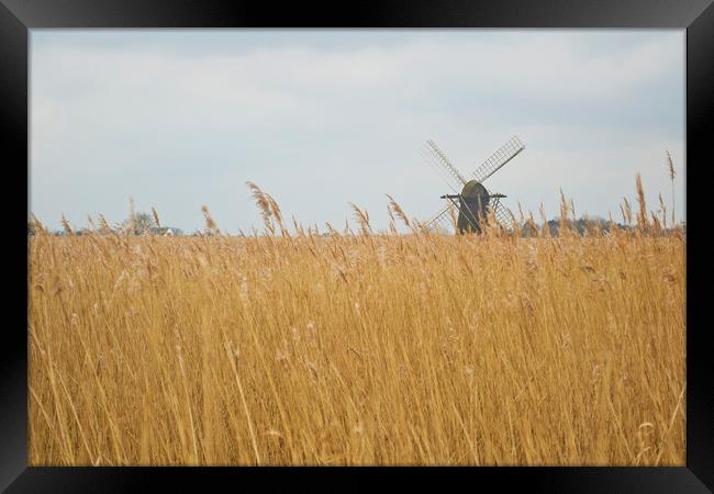 Windmill near Somerleyton, Suffolk Framed Print by Andy Heap