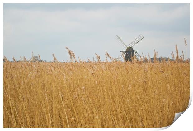 Windmill near Somerleyton, Suffolk Print by Andy Heap