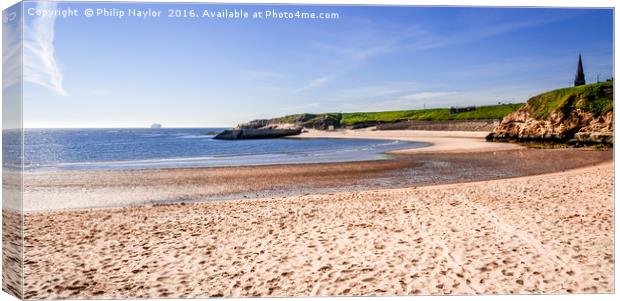 The wonder of Cullercoats Bay  Canvas Print by Naylor's Photography