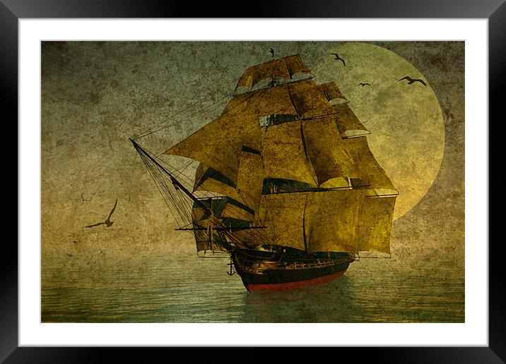 Sailing Framed Mounted Print by Ann Garrett