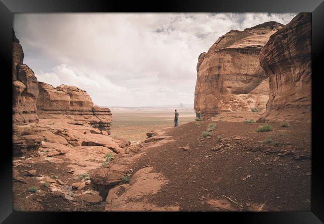 Desert Walk Framed Print by Brent Olson