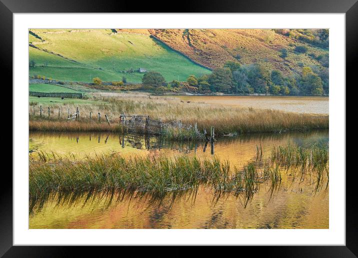 Golden reflections. Brothers Water, Cumbria, UK. Framed Mounted Print by Liam Grant