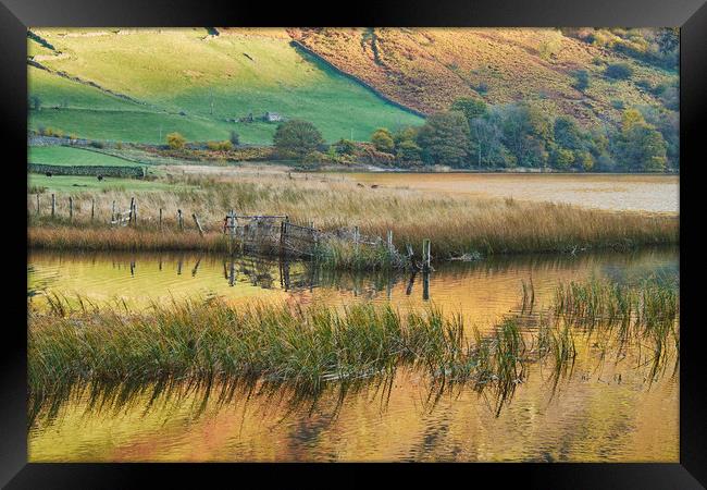 Golden reflections. Brothers Water, Cumbria, UK. Framed Print by Liam Grant