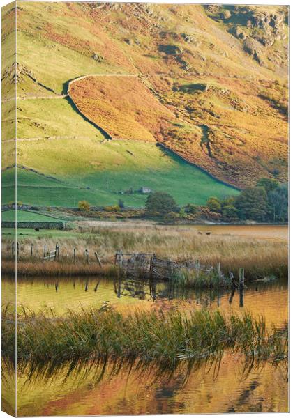 Golden reflections. Brothers Water, Cumbria, UK. Canvas Print by Liam Grant