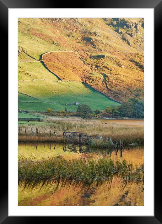 Golden reflections. Brothers Water, Cumbria, UK. Framed Mounted Print by Liam Grant