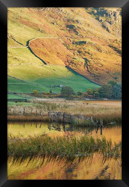 Golden reflections. Brothers Water, Cumbria, UK. Framed Print by Liam Grant