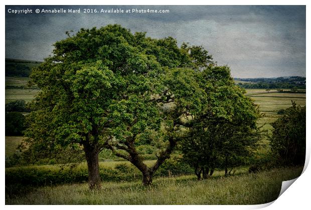 Spring Trees And Meadow. Print by Annabelle Ward