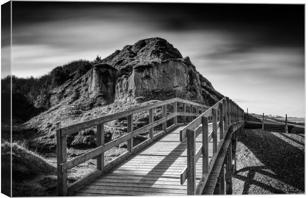 Bishopstone Glen Canvas Print by Ian Hufton