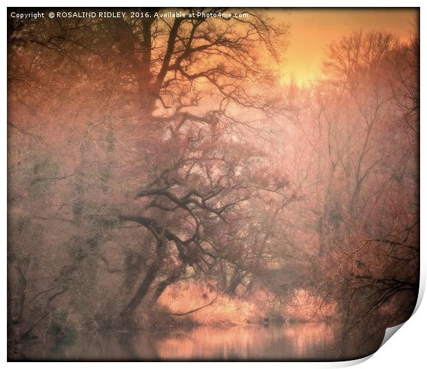 "SUNSET ON THE RIVER WANSBECK" Print by ROS RIDLEY