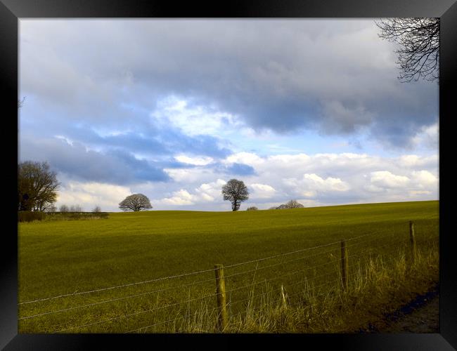 arable fields at kington herefordshire Framed Print by paul ratcliffe