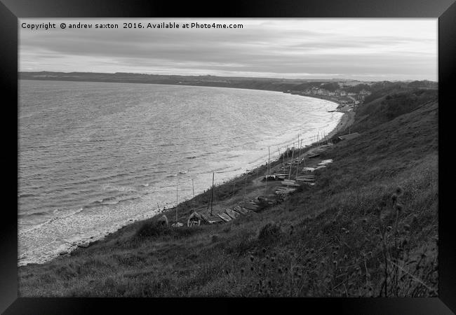 THE COASTLINE Framed Print by andrew saxton