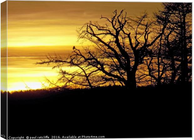 sunset silhouette,herefordshire Canvas Print by paul ratcliffe
