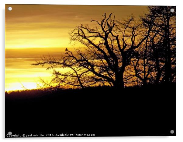 sunset silhouette,herefordshire Acrylic by paul ratcliffe