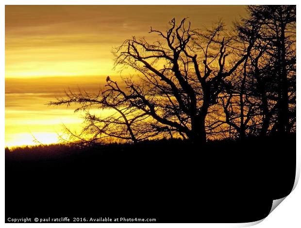 sunset silhouette,herefordshire Print by paul ratcliffe