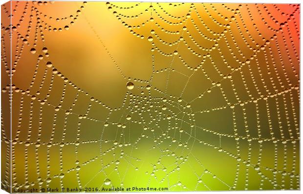Spider Web Dew Drops   [ Enhanced] Canvas Print by Mark  F Banks
