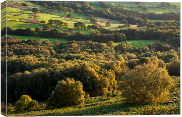 English landscape in mellow autumn sunlight Canvas Print by Andrew Kearton
