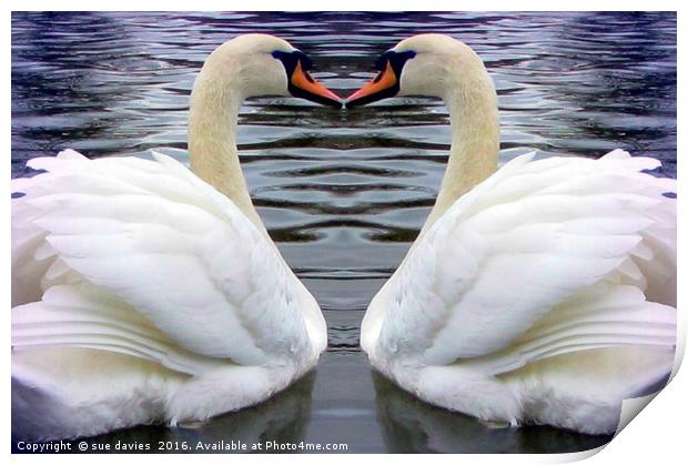 swan heart Print by sue davies