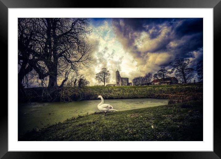 The swan and castle Framed Mounted Print by Gary Pearson