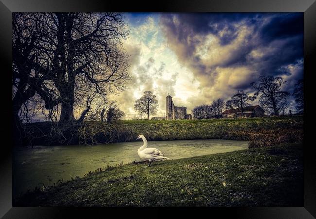 The swan and castle Framed Print by Gary Pearson