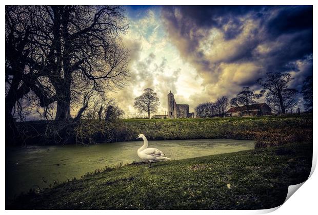 The swan and castle Print by Gary Pearson