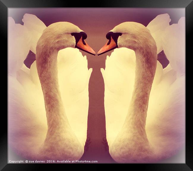 double take Framed Print by sue davies
