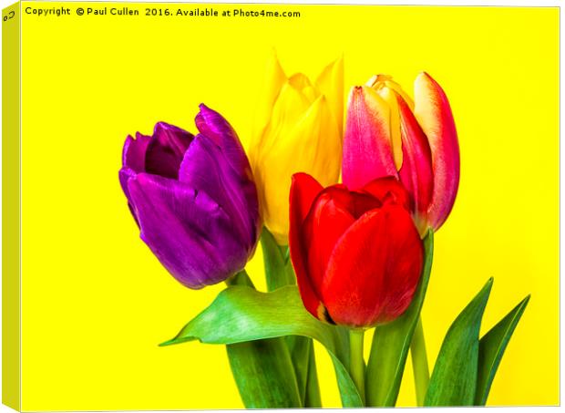 Four Tulips Canvas Print by Paul Cullen